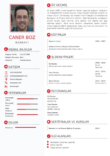 Bankacı Örnek cv indir